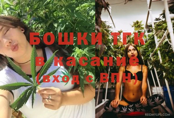 молекула духа Баксан