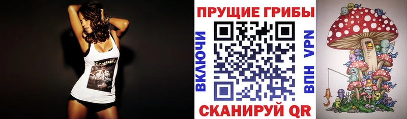 Псилоцибиновые грибы мицелий  Белозерск 